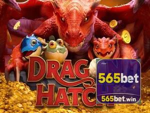 565BET PIX instantâneo Brasil - Depósito e saque em minutos 24/7